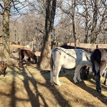 La Roulotte Rose Rouge